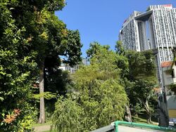 Teo Hong Road (D2), Shop House #466014831